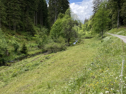 22-05-29 12-47-33 0965